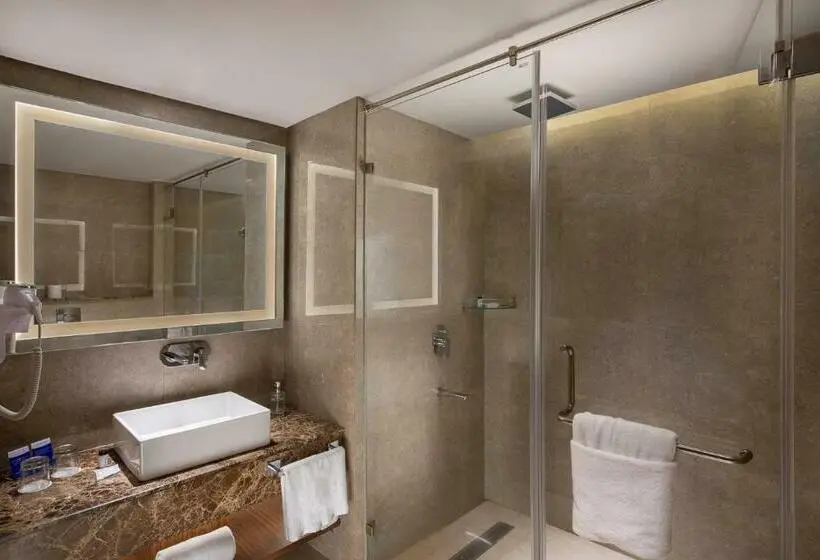 スーペリアールーム, Nirvana Sarovar Portico Gorakhpur
