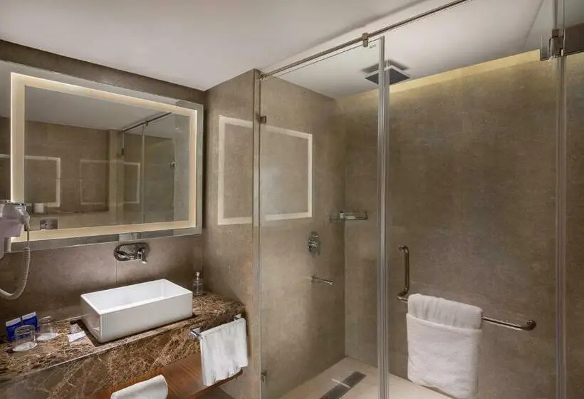 デラックスルーム, Nirvana Sarovar Portico Gorakhpur