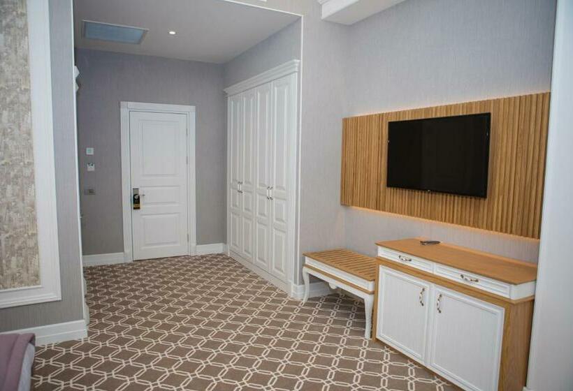 اتاق سوپریور, Theatrum Hotel Baku