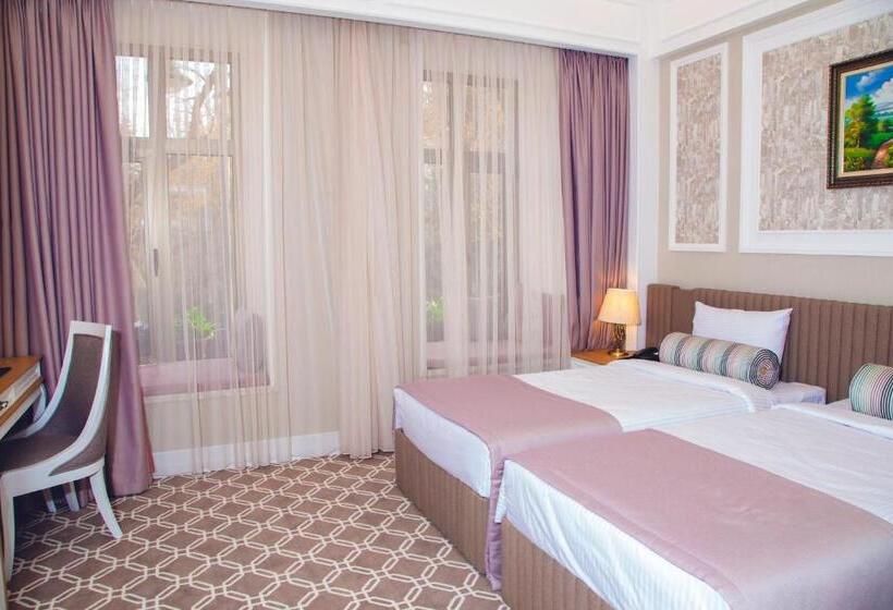 اتاق لوکس, Theatrum Hotel Baku