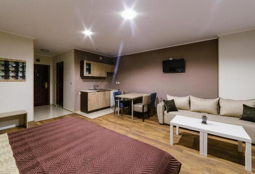 スタンダードスタジオ, Family Hotel Ring & Thermal