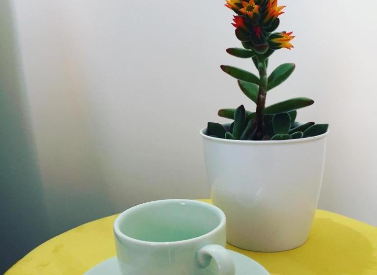 スタンダードルーム, Paolino Exclusive Rooms