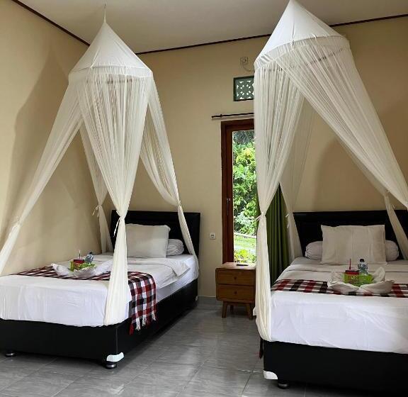 חדר סטנדרט עם טרסה, Balitrees