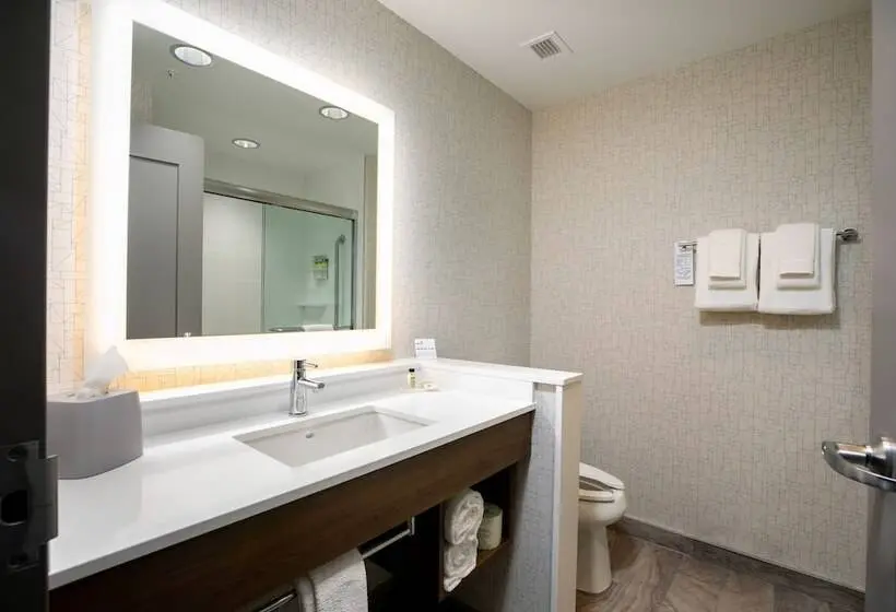 Standard-huone, Holiday Inn Express Lethbridge Southeast, An Ihg