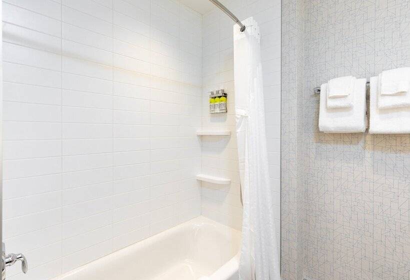 جناح, Holiday Inn Express   Lethbridge Southeast, An Ihg