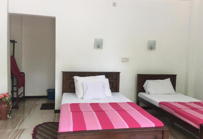 Economy Room, Anthony Guesthouse