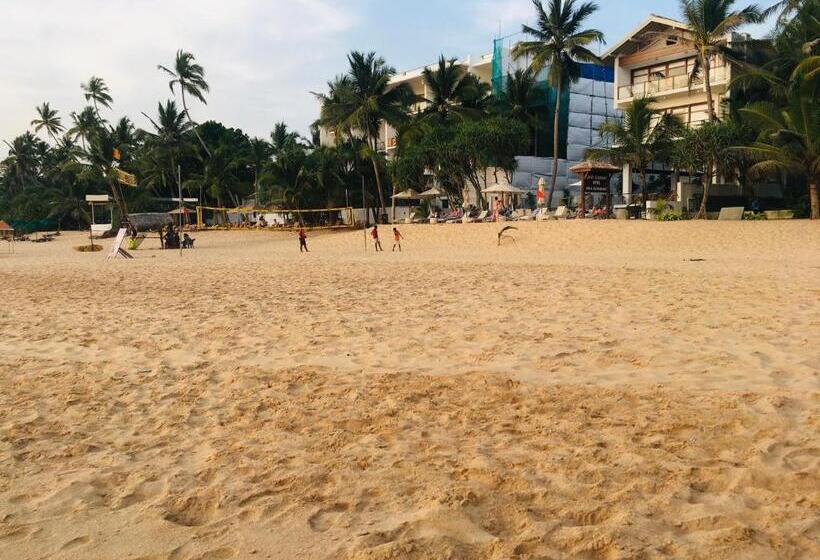 1 Bedroom Apartment, Anthony Guesthouse