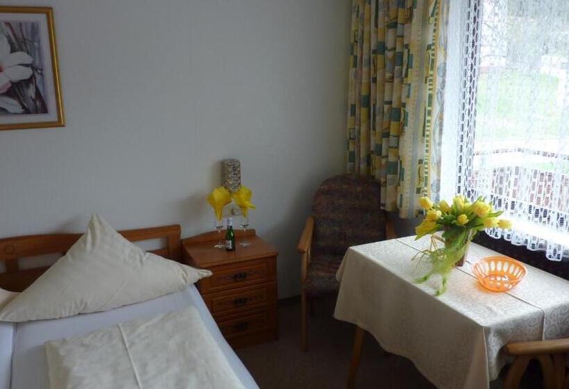 חדר סטנדרט, Pension Brix