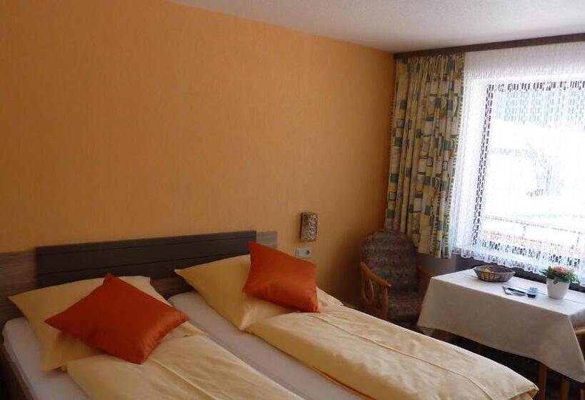 Номер Стандарт, Pension Brix