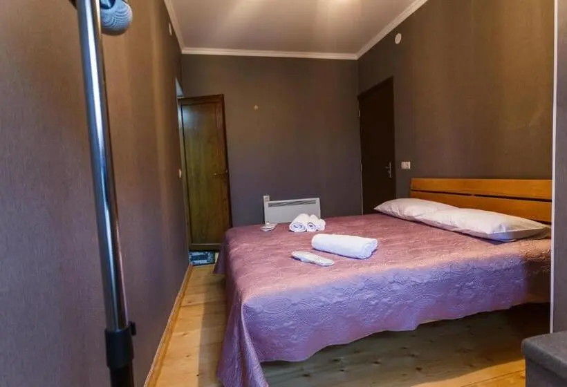 اتاق استاندارد با چشم‌انداز کوهستان, Panorama Guesthouse