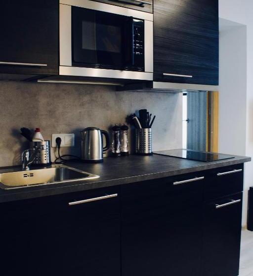 آپارتمان لوکس 1 خوابه, Brother House Kaunas