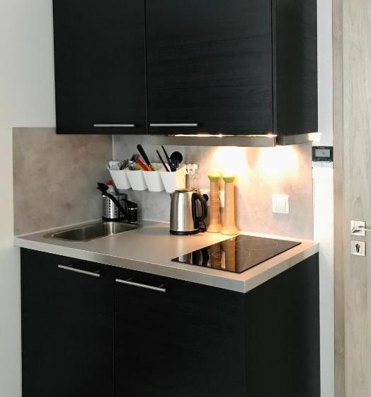 استودیوی استاندارد, Brother House Kaunas