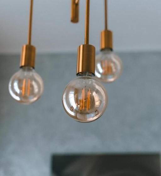 اتاق استاندارد با چشمانداز باغ, Brother House Kaunas