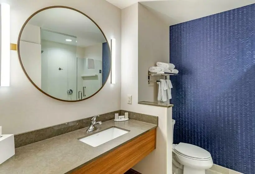 キングサイズベッドのスイートルーム, Fairfield Inn & Suites By Marriott Helen