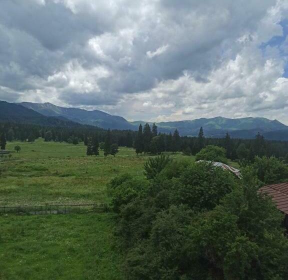 اتاق استاندارد با چشمانداز کوهستان, Royal Bakuriani