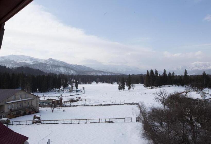 اتاق استاندارد با چشمانداز کوهستان, Royal Bakuriani