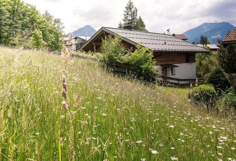 آپارتمان 2 خوابه, Alpenhaus Oberstdorf