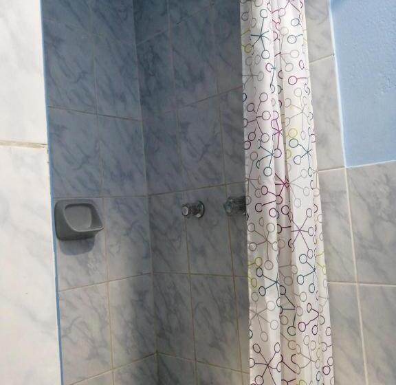 اتاق استاندارد یک نفره, Kayva