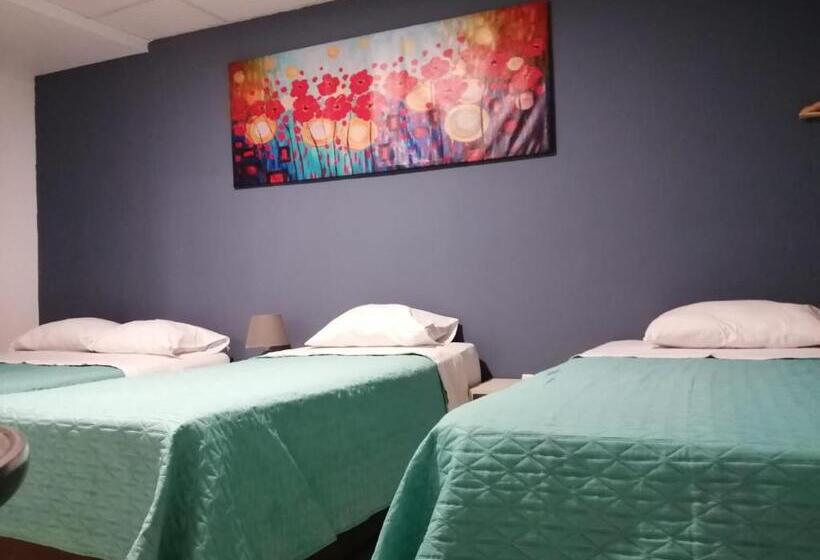 اتاق استاندارد چهار تخته, Kayva