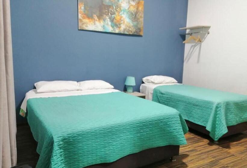 اتاق استاندارد چهار تخته, Kayva