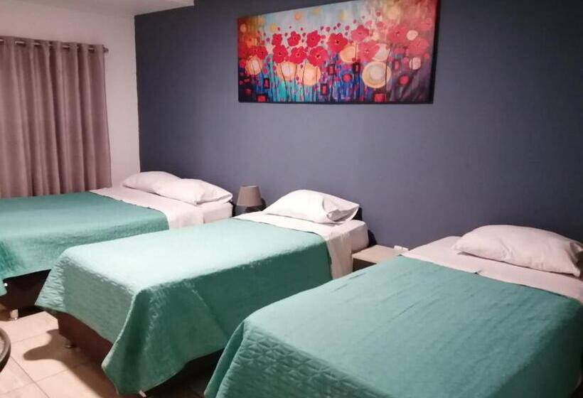 اتاق استاندارد چهار تخته, Kayva