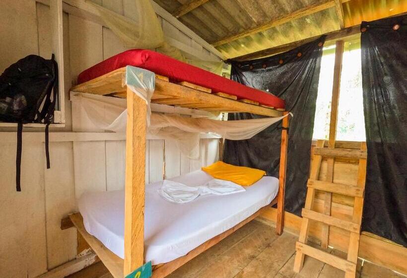 تختخواب در اتاق مشترک, Surf House Estilo Libre