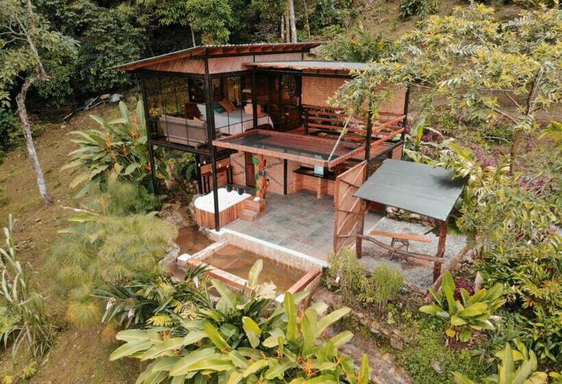 山景套房, Waira Eco Lodge