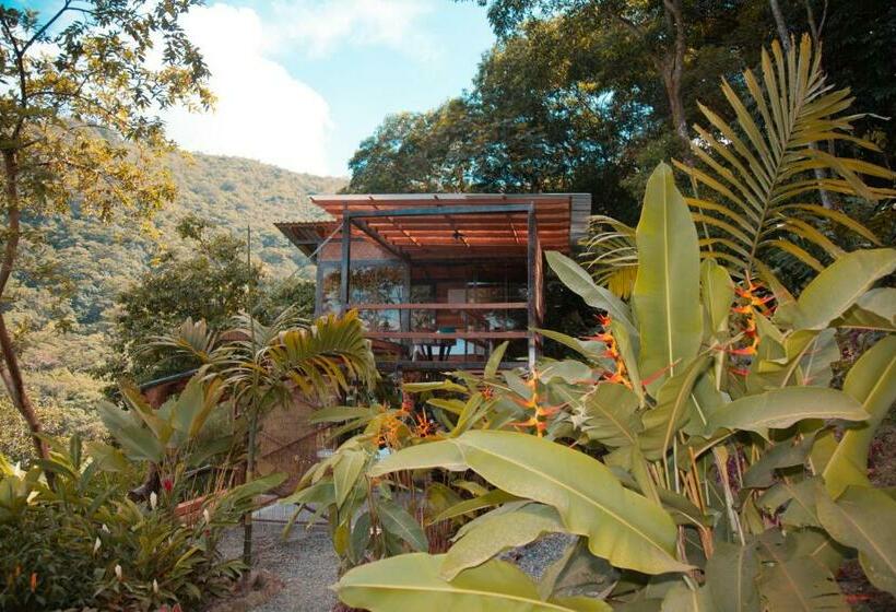 山景套房, Waira Eco Lodge