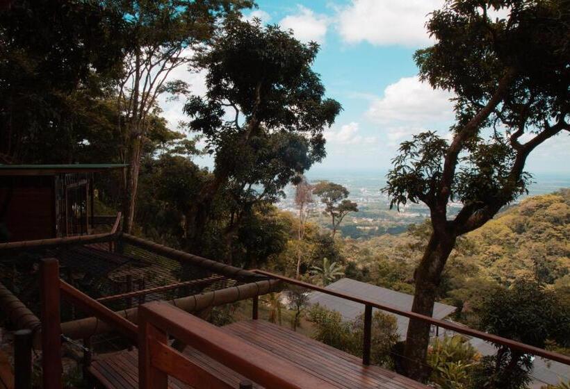 带大床的套房, Waira Eco Lodge