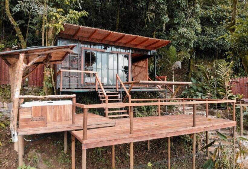 带大床的套房, Waira Eco Lodge