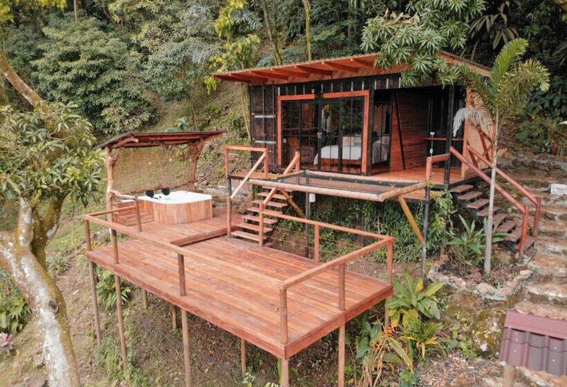 带大床的套房, Waira Eco Lodge