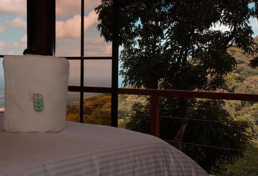 带城市景观的套间, Waira Eco Lodge