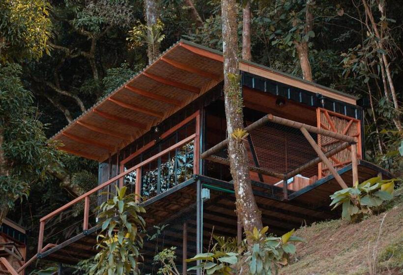 带城市景观的套间, Waira Eco Lodge