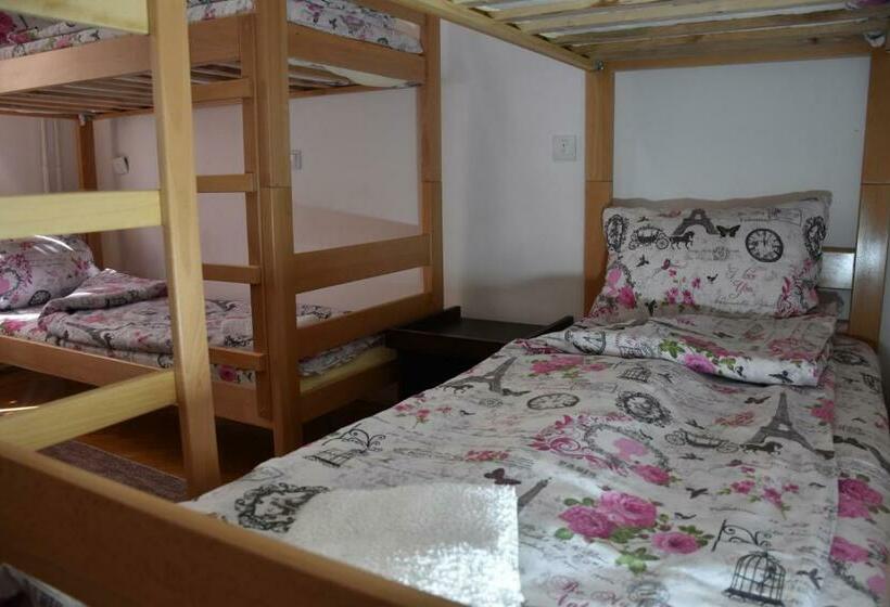 اتاق استاندارد چهار تخته, Exit Labirint Centar