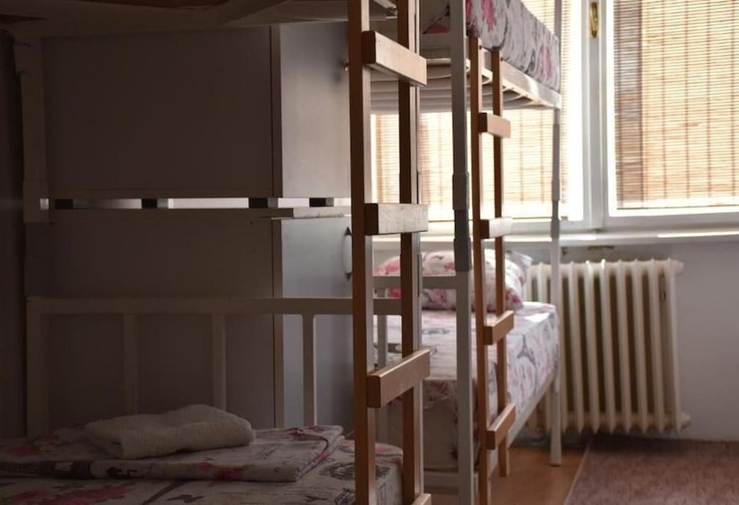 تختخواب در اتاق مشترک, Exit Labirint Centar