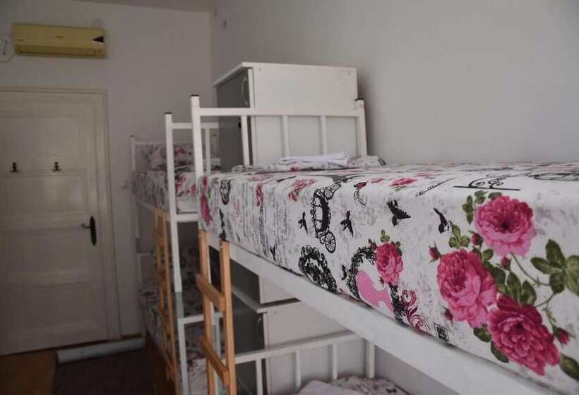 تختخواب در اتاق مشترک, Exit Labirint Centar