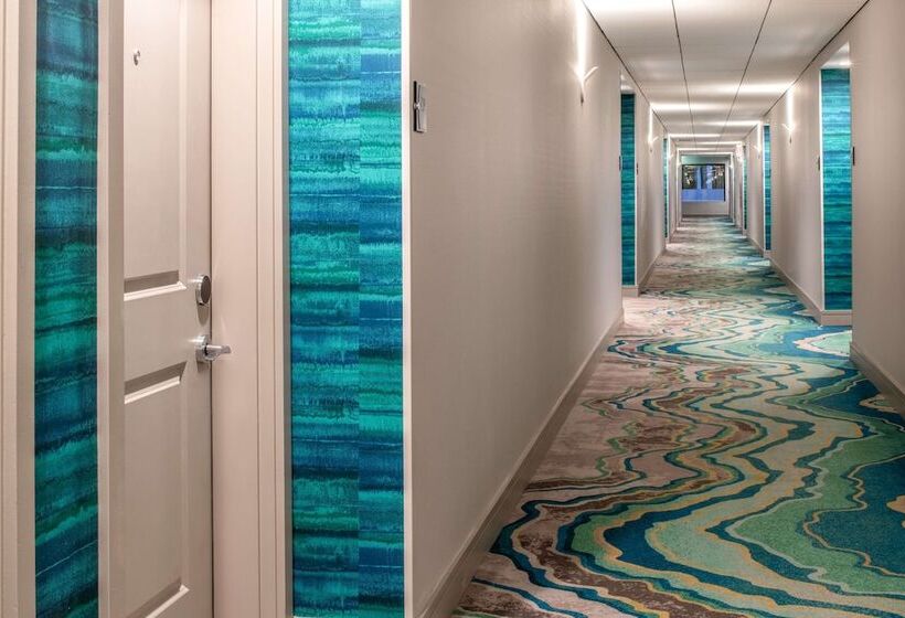 스위트, Homewood Suites By Hilton Belmont