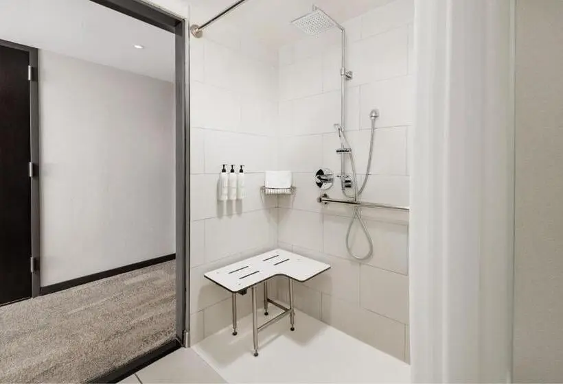 Standard-invahuone, Fairfield Inn & Suites By Marriott New York Manhattan/times Square South
