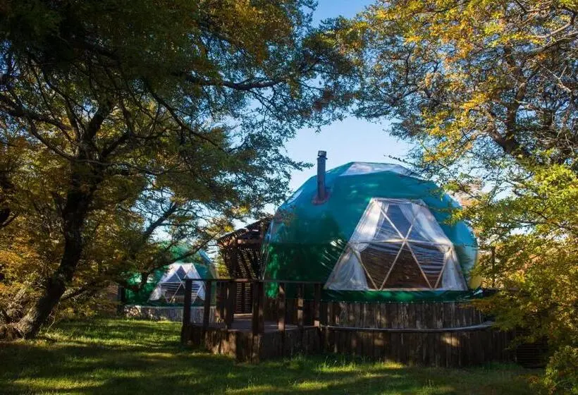 スタンダード４人部屋, Ecocamp Patagonia