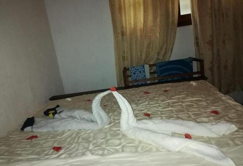 اتاق لوکس, Triple One Villa