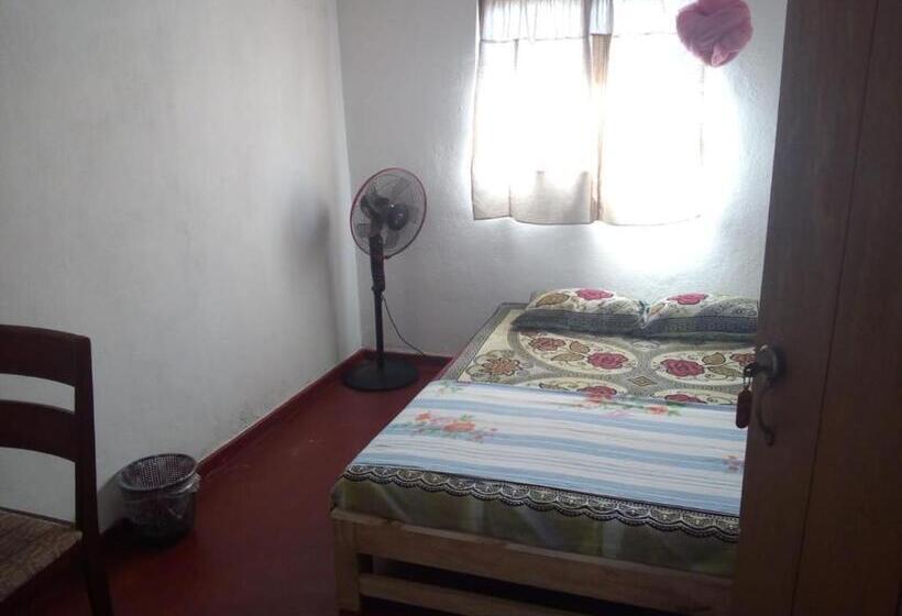 اتاق لوکس, Triple One Villa