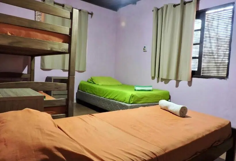 اتاق کلاسیک چهارنفره, Hostel Lazy Gaucho