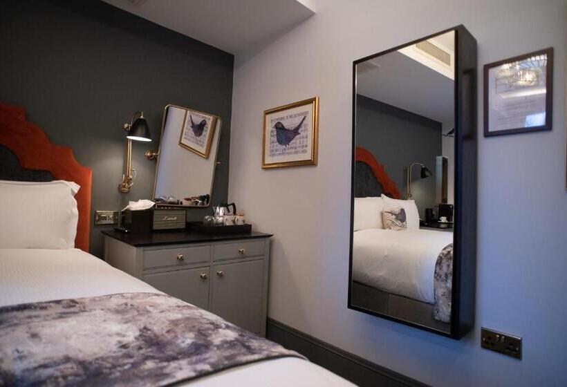 חדר סופריור עם מיטת קינג, Blackbird