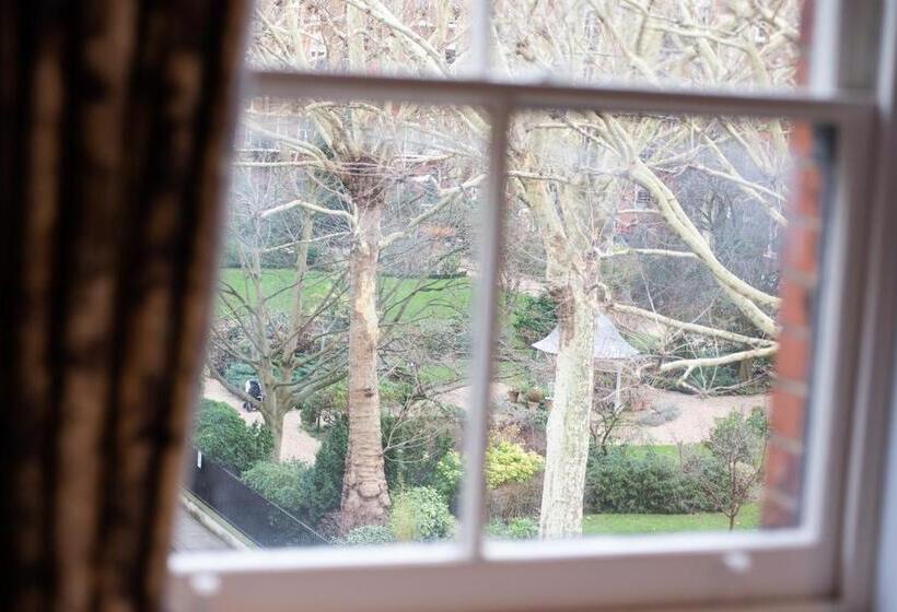 חדר סופריור עם מיטת קינג, Blackbird