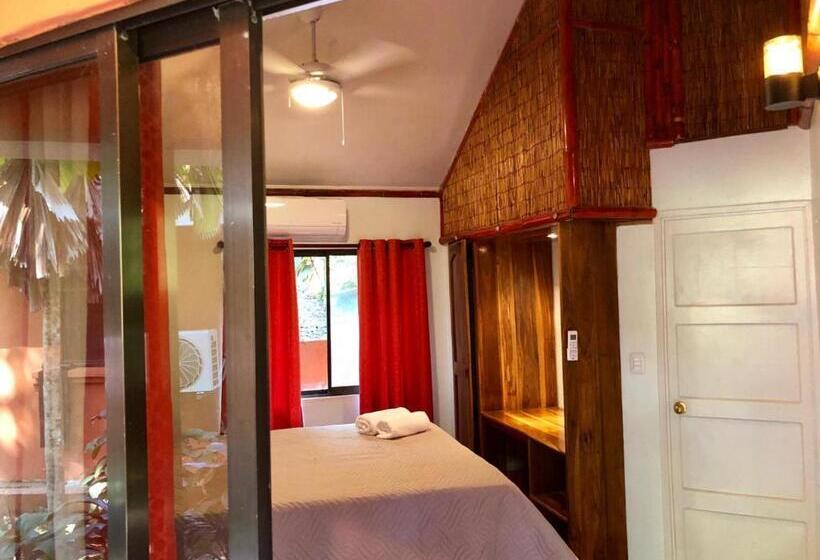 디럭스 룸, Bongo   Adults Only