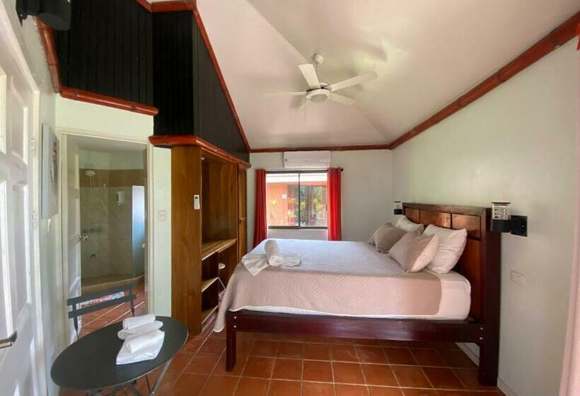 디럭스 룸, Bongo   Adults Only