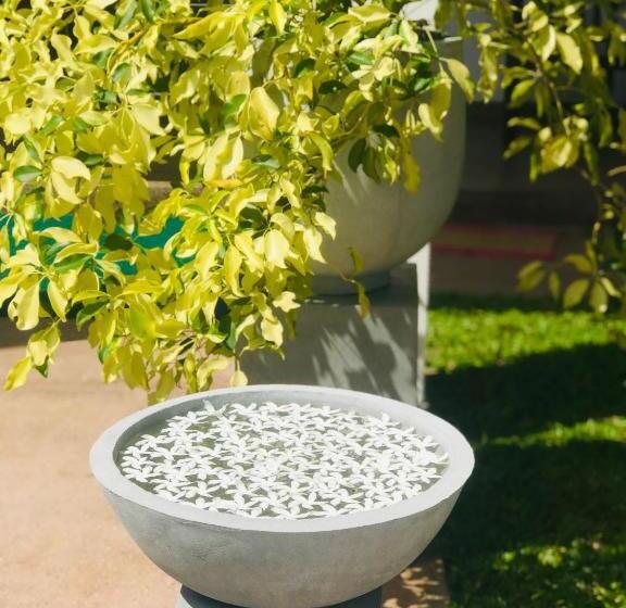 3 Bett Standardzimmer Balkon, Mindana Residence