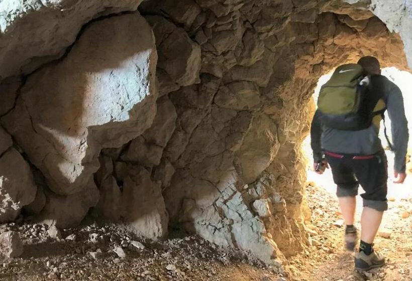 استودیوی استاندارد, Vila Burbonka