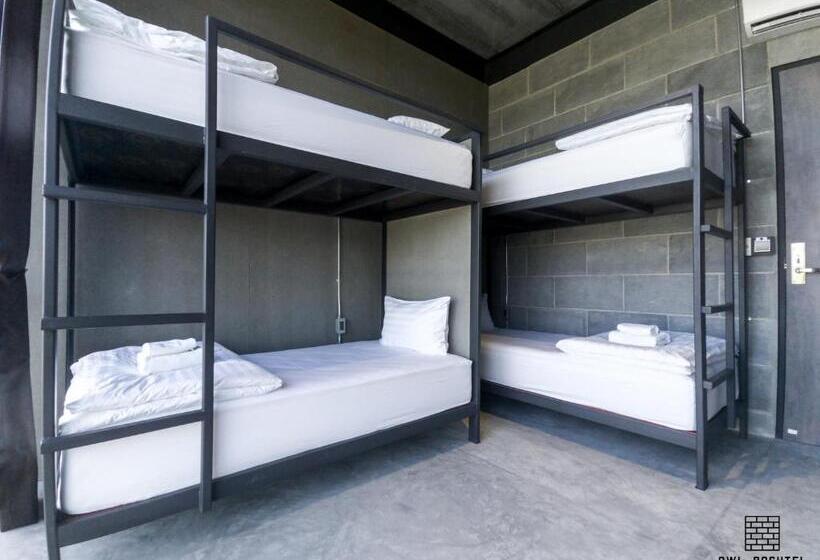 4인용 스탠다드 룸, Owl Poshtel Kanchanaburi
