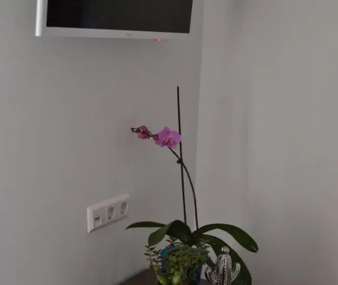 デラックスルーム, Myrsini